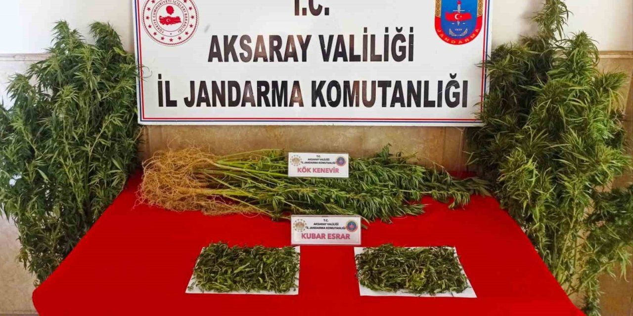 Aksaray jandarmadan uyuşturucu operasyonu: 2 gözaltı