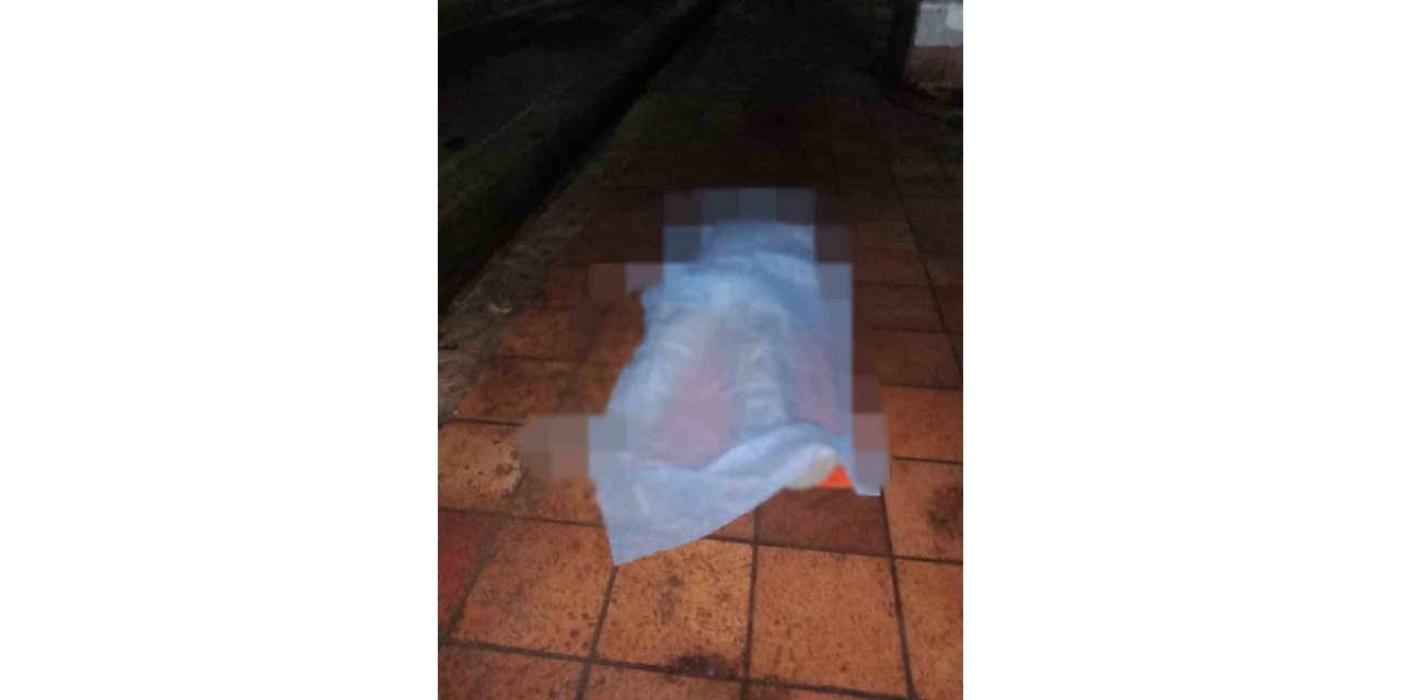 Elektrik akımına kapılan yabancı uyruklu işçi hayatını kaybetti