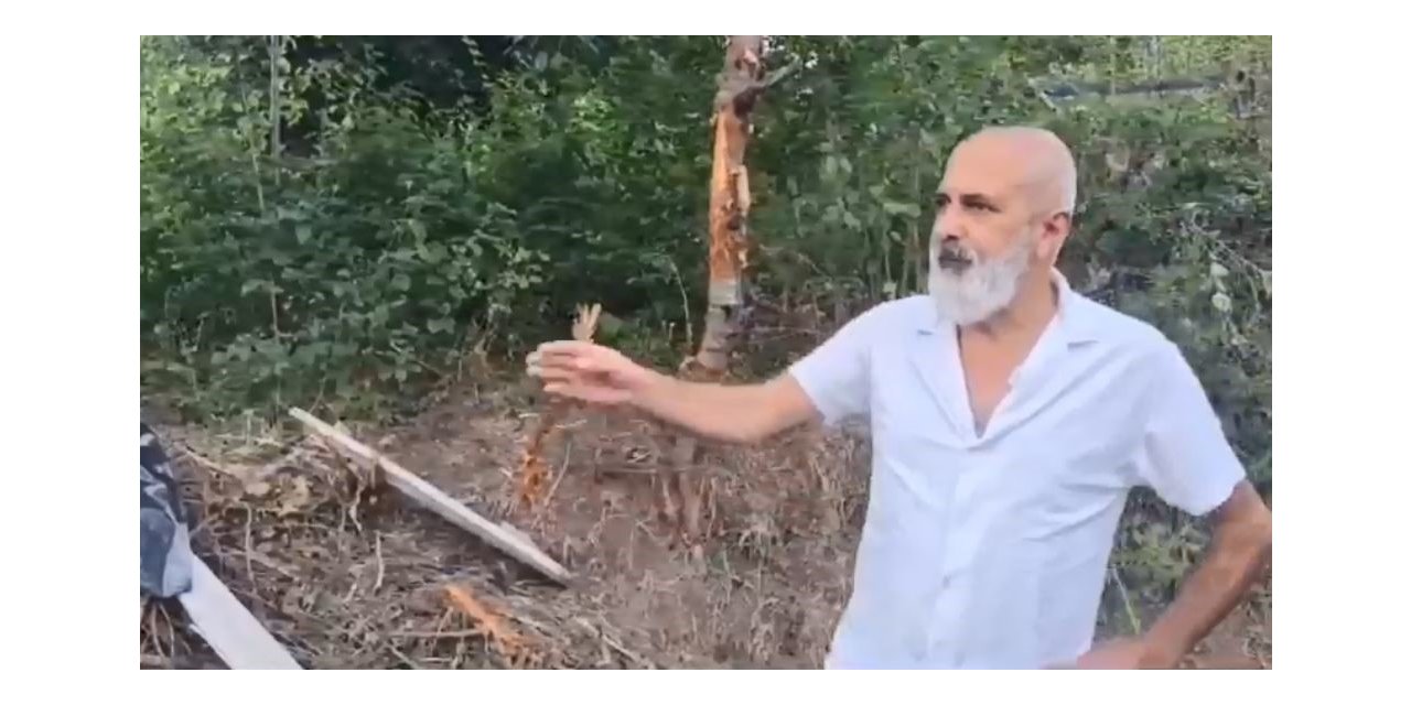 Artvin’de tellere takılarak mahsur kalan ayı kurtarılarak doğaya bırakıldı