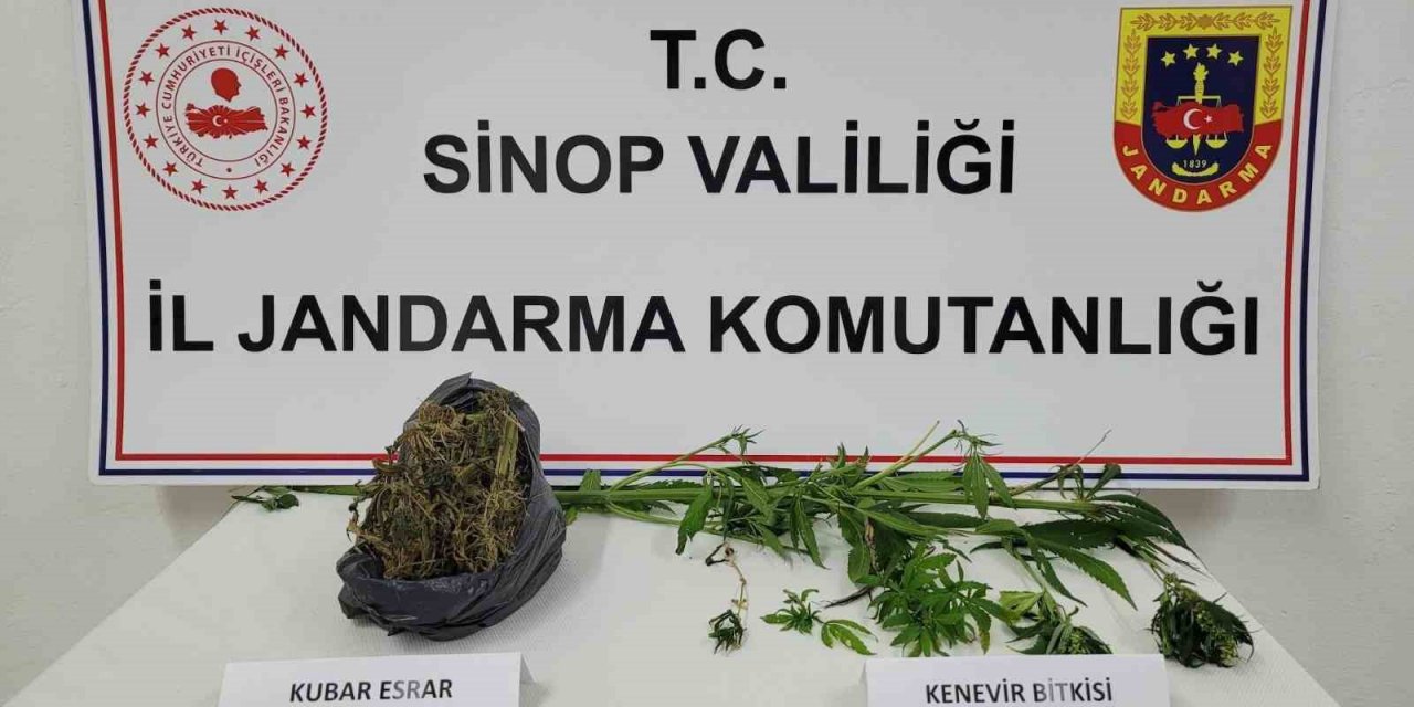 Sinop’ta uyuşturucu operasyonu
