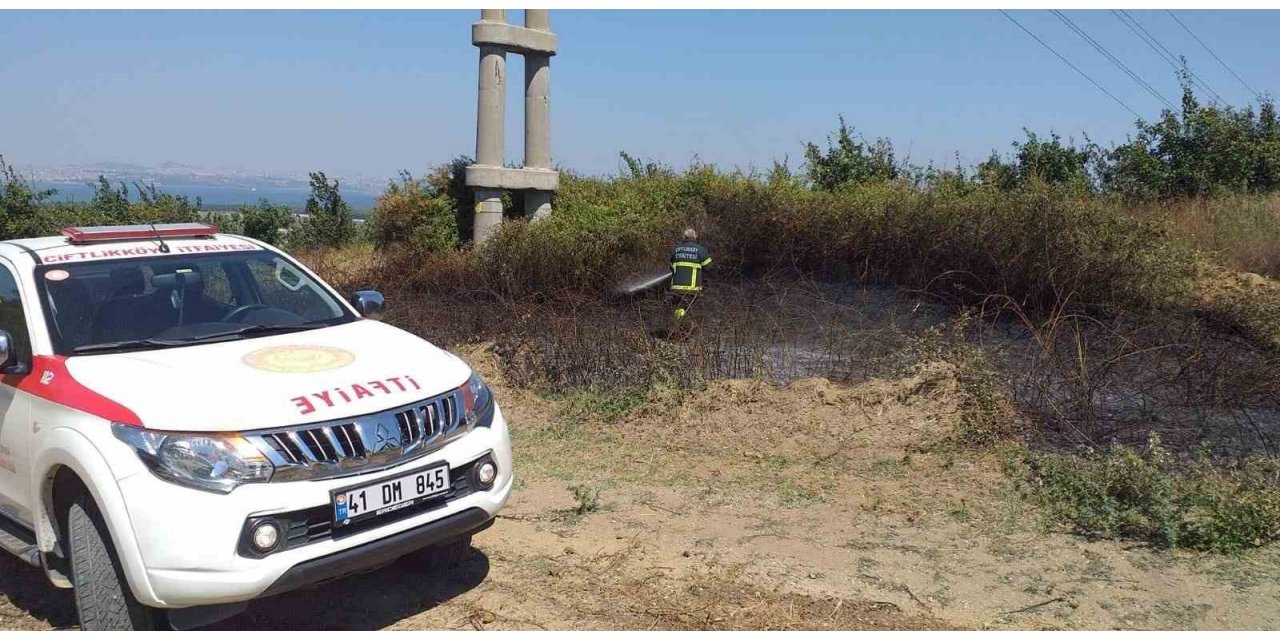 Yalova’da arazi yangını