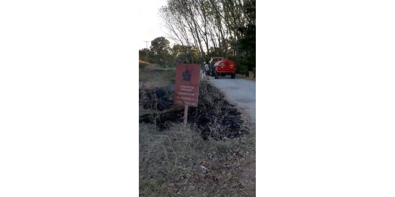 Edirne’de arazi yangını