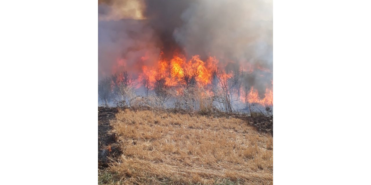 Bandırma’da arazi yangını 4 saatte söndürüldü