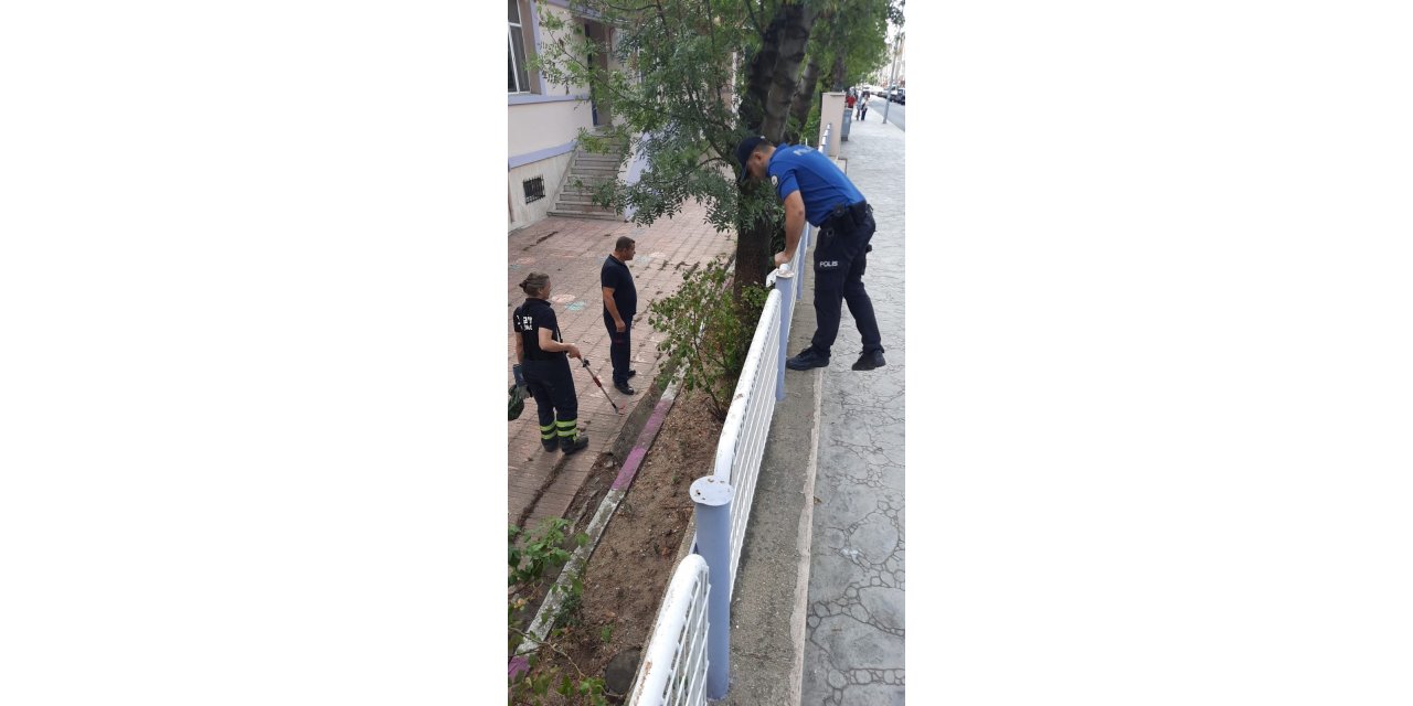 Okul bahçesinde yılan paniği