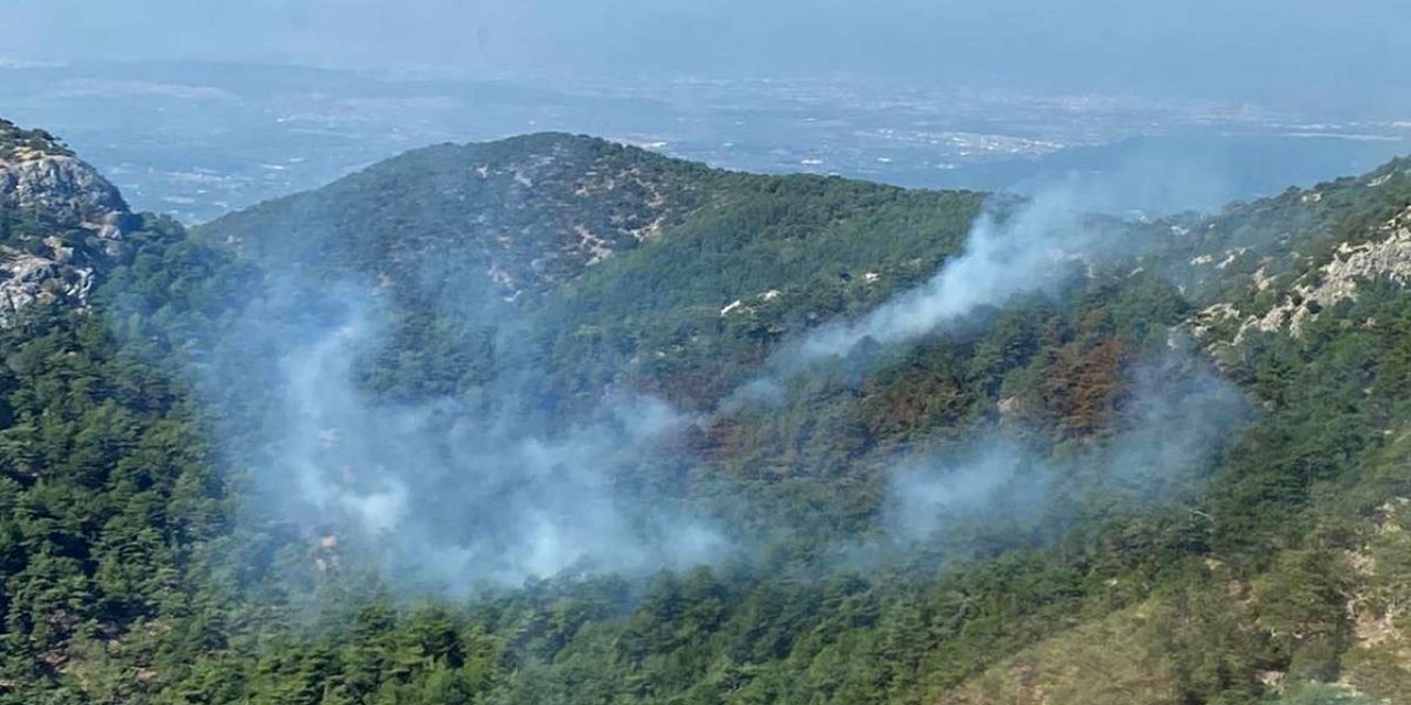 İzmir’deki orman yangını kısmen kontrol altında