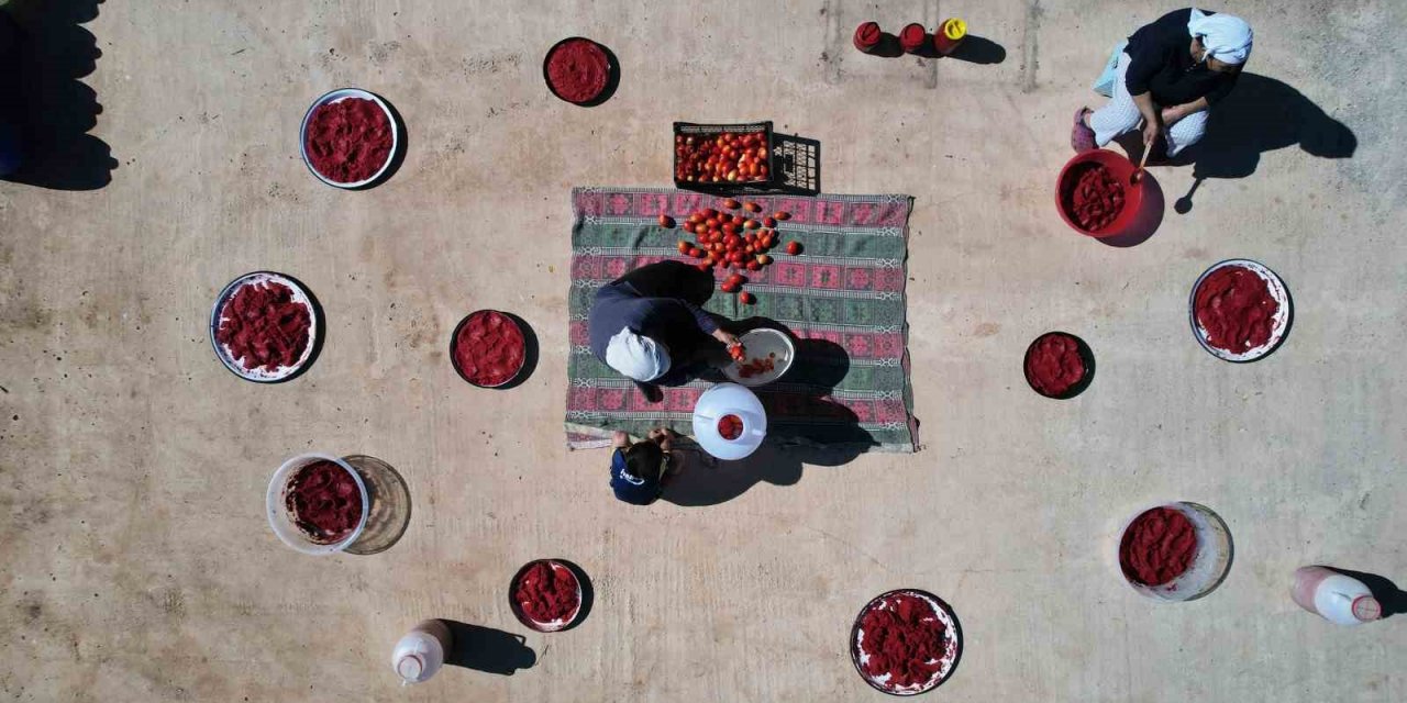 Muğla’da organik salça mevsimi