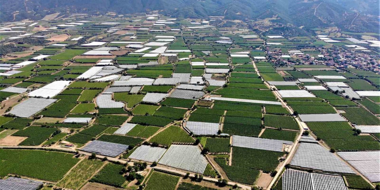 Sarıgöl Ovası beyaza büründü