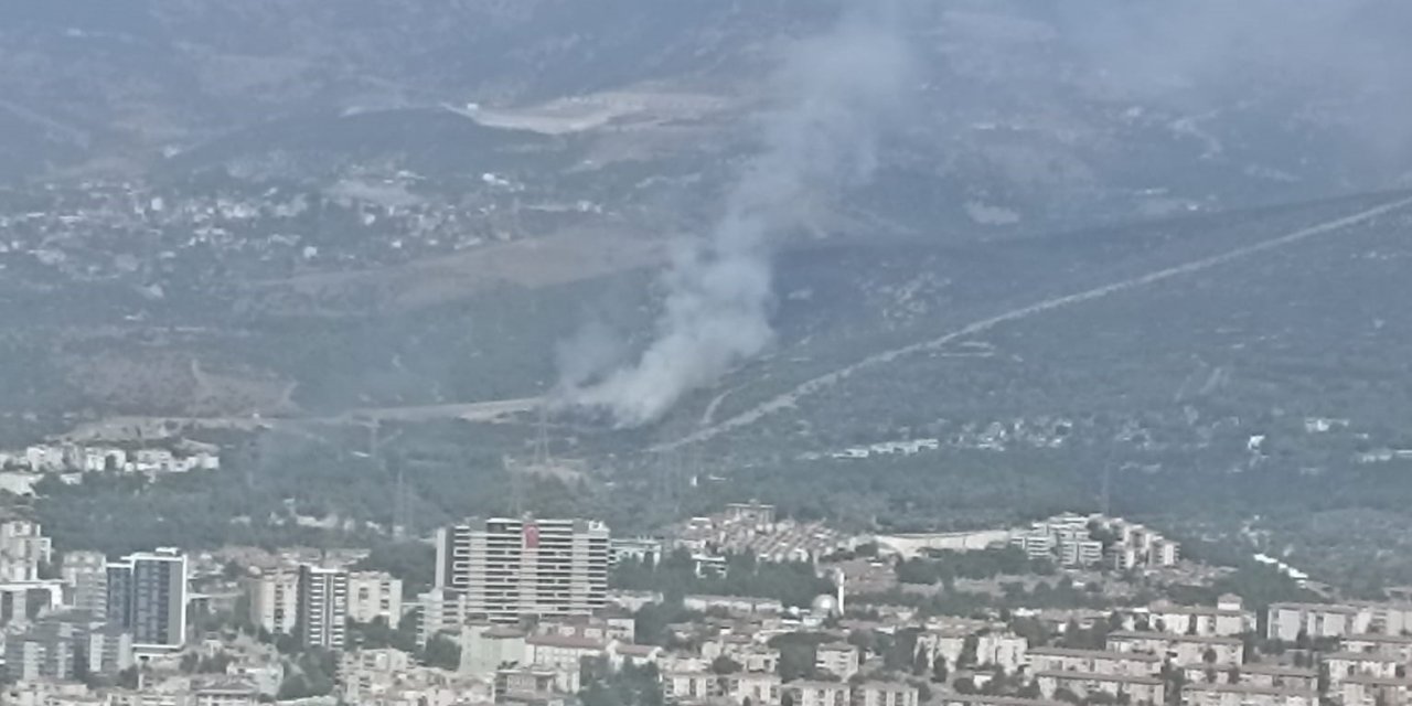 İzmir’de ikinci orman yangını kontrol altında