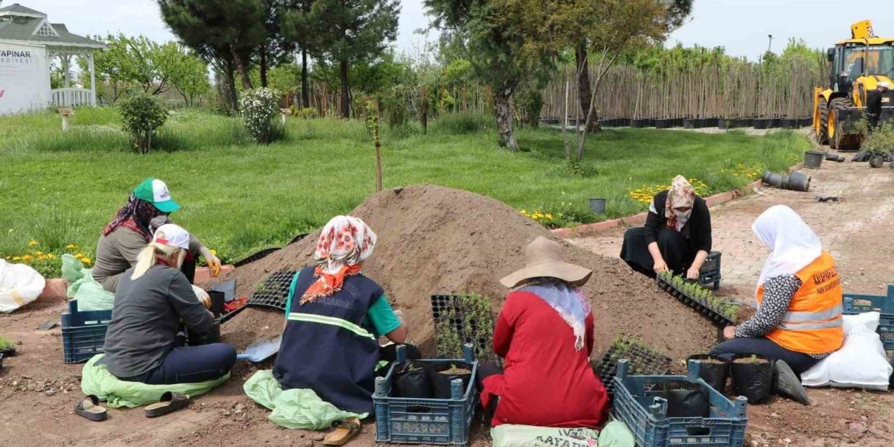 Kayapınar Belediyesi 1 milyon 500 bin bitki üretmeyi hedefliyor