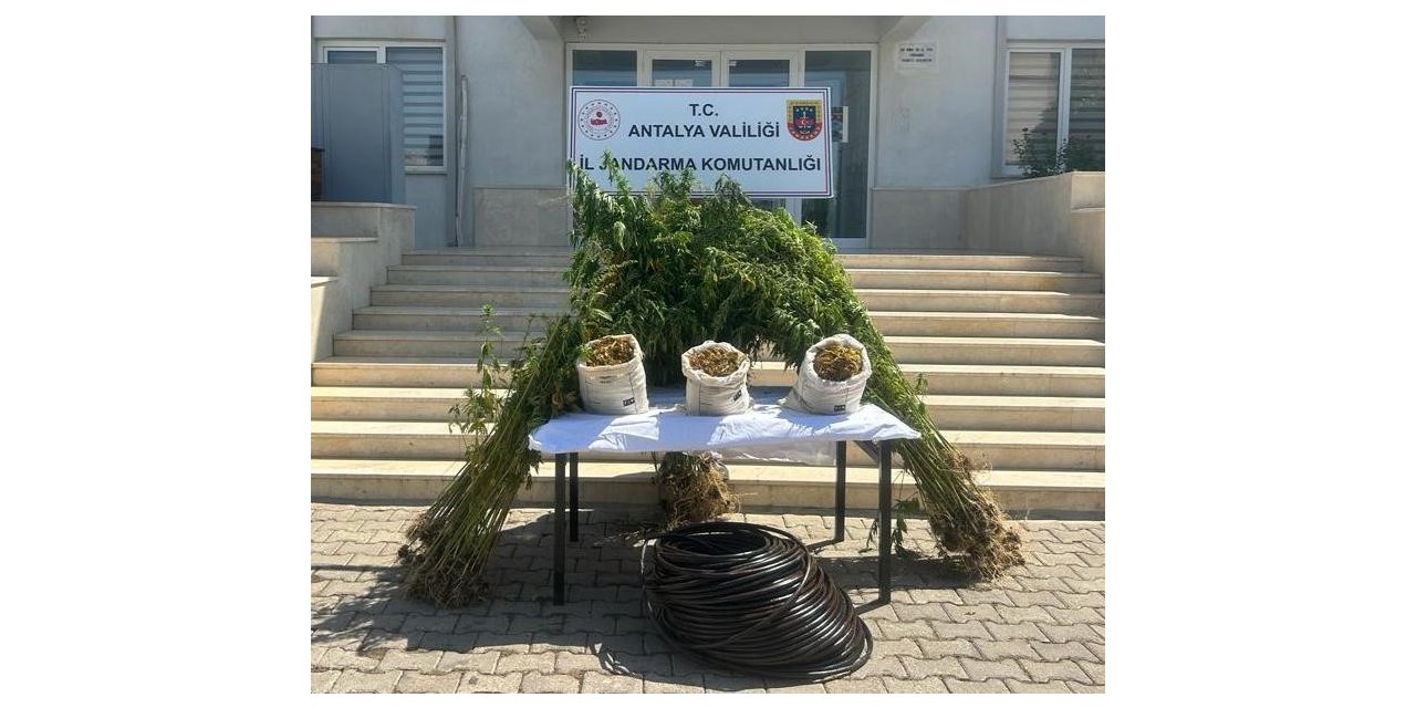 Jandarmadan ormanlık alana uyuşturucu operasyonu