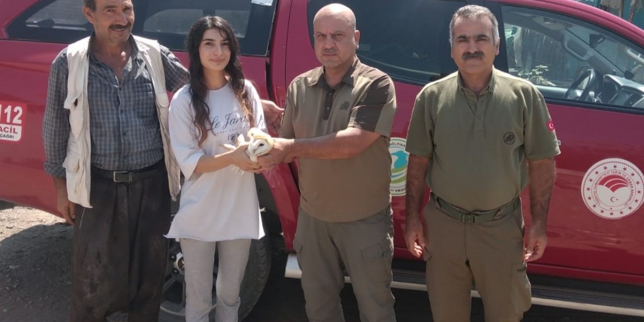 Şanlıurfa’da yaralı bulunan peçeli baykuş tedavi altına alındı