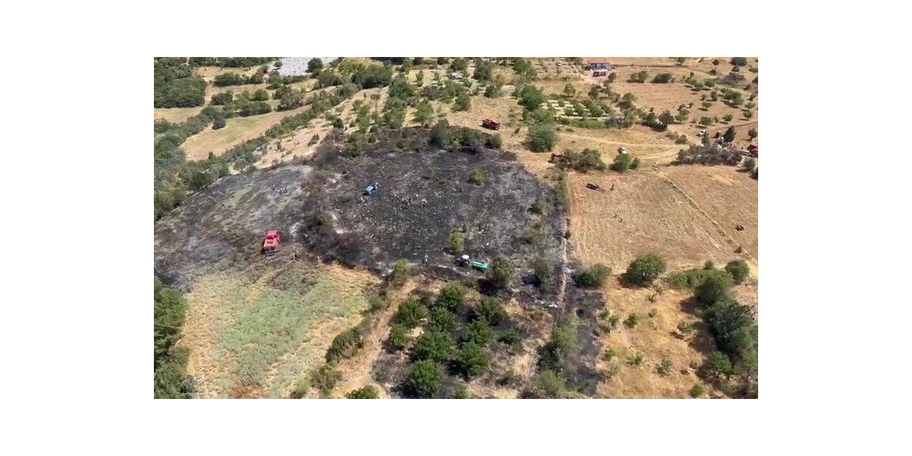 Örtü yangını ormana sıçramadan söndürüldü