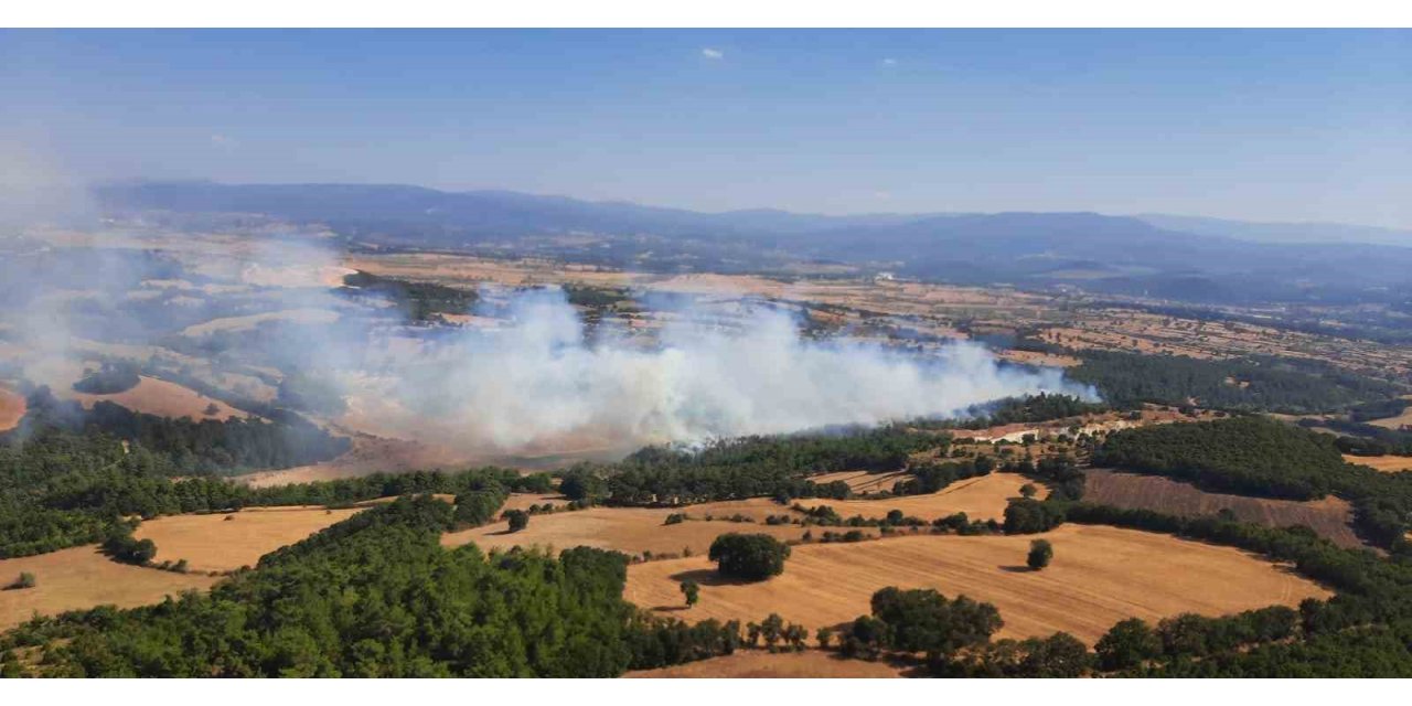 Çan’da orman yangını