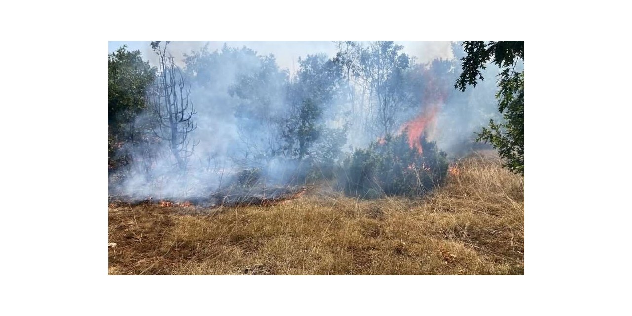 Kütahya’daki orman yangını kısmen kontrol altına alındı