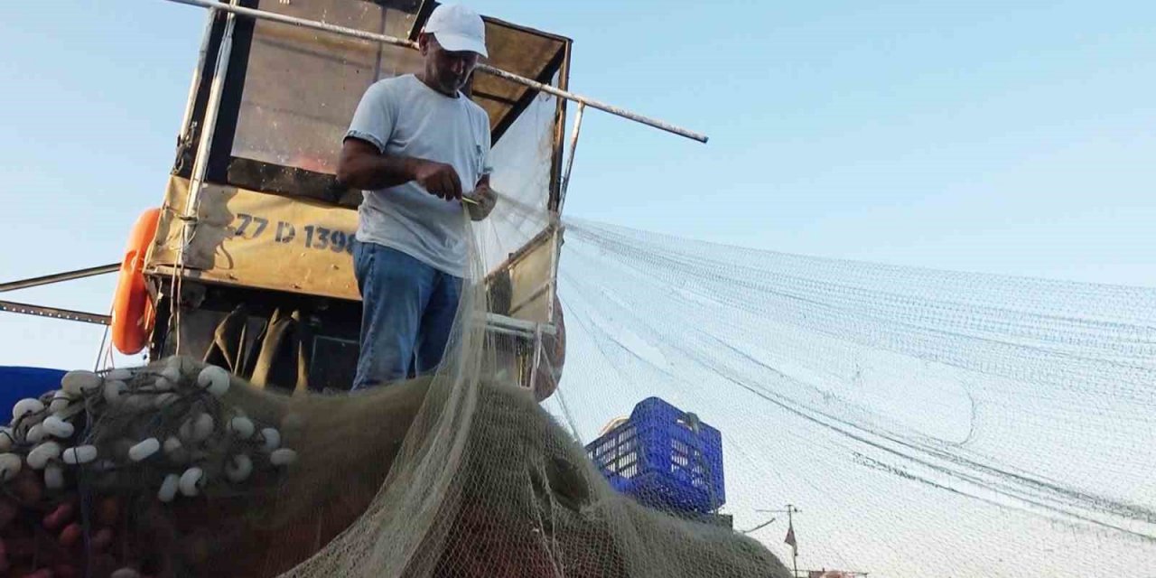 Yalova’da balıkçıklar hamsiden umutlu: “Vatandaşımız bu yıl mutlaka balık yer. Bu sene hamsi bol”