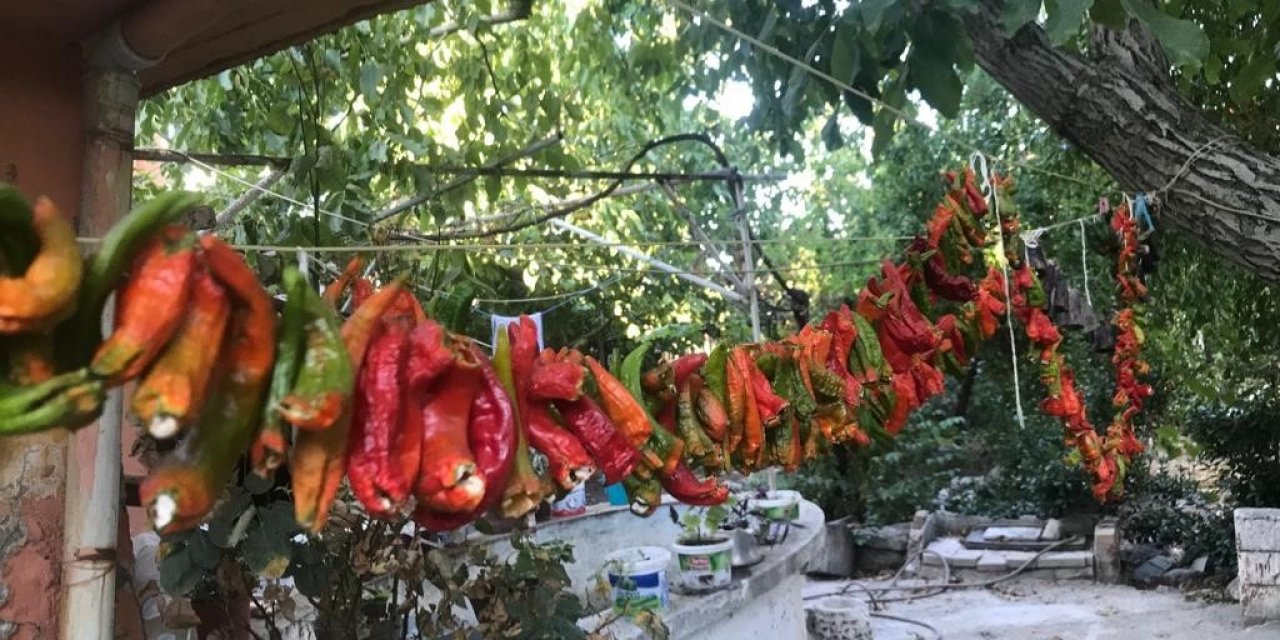 Kışlıklar hazırlanıyor