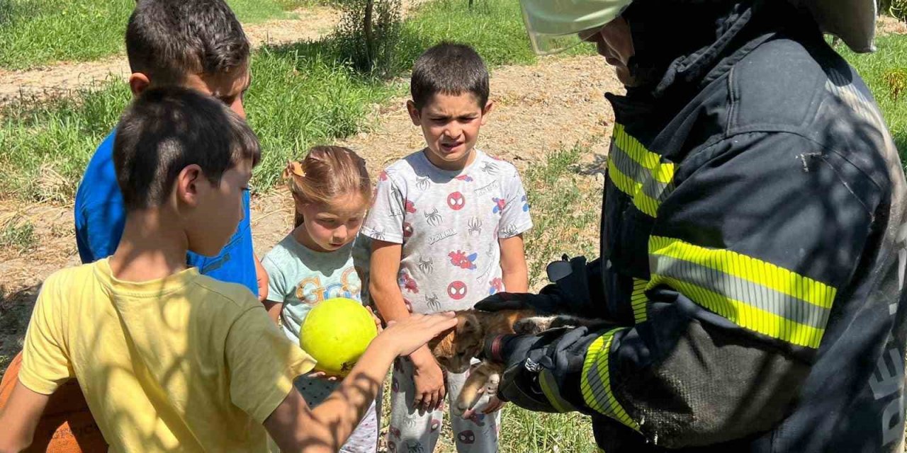Kuyuya düşen kediyi top oynayan çocuklar fark etti