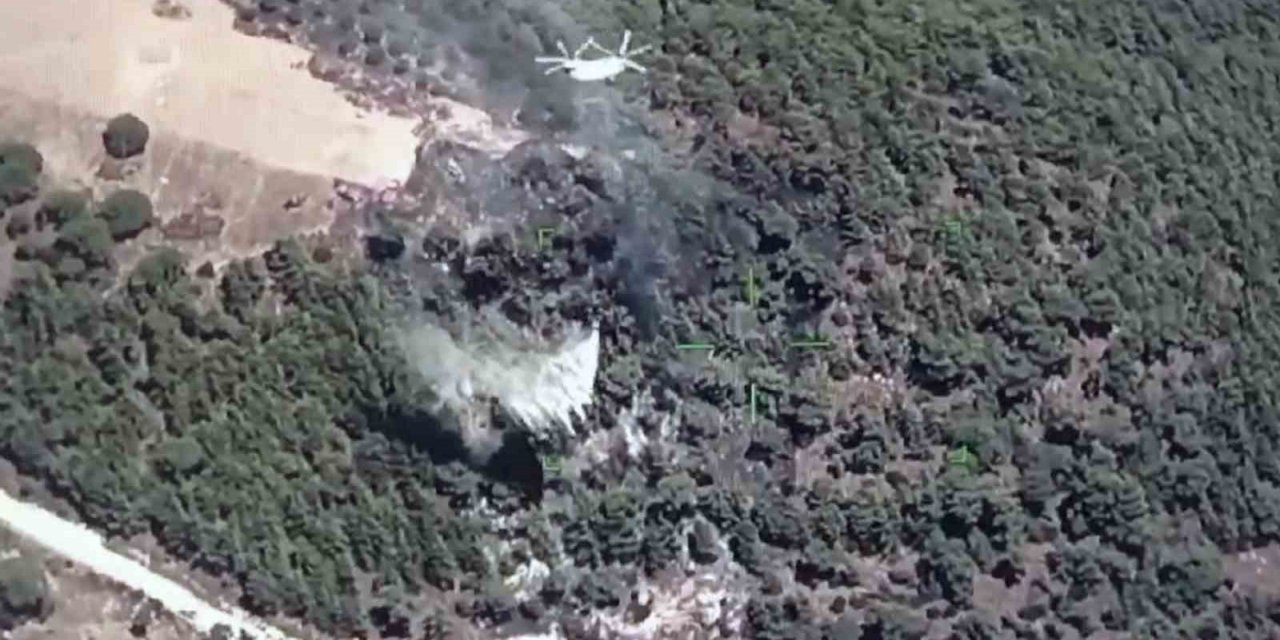 Muğla-Aydın sınırında yangın