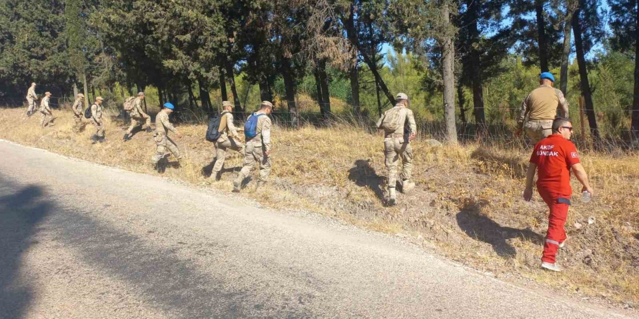 Berzeg için ormanlar karış karış aranıyor