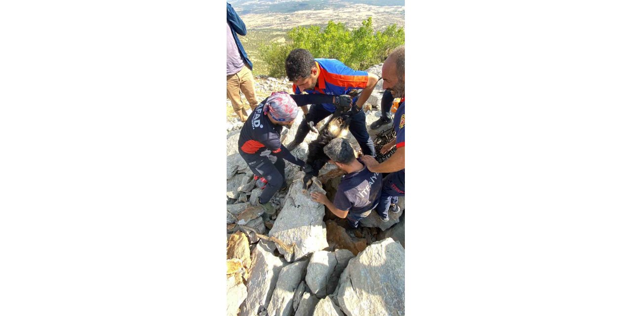 Kayaların arasına sıkışan keçiyi AFAD ve itfaiye ekibi kurtardı