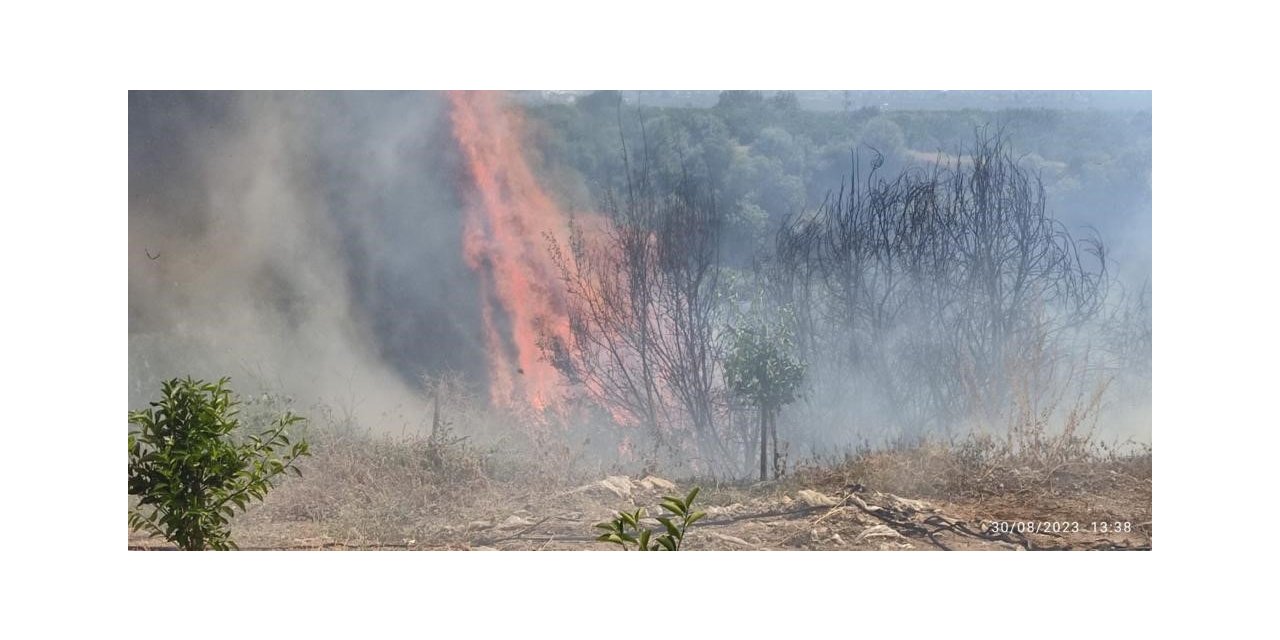 Hatay’da makilik arazi yangını söndürüldü