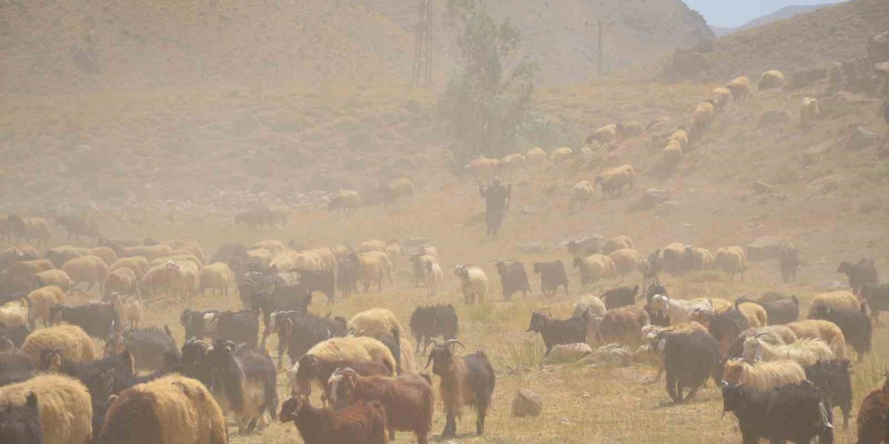 Göçerler son demlerini yaşıyor