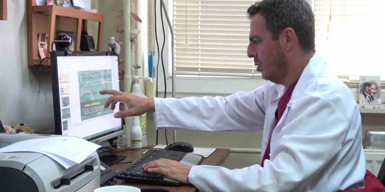 Evcilleşen ayılar doğayı tehdit ediyor