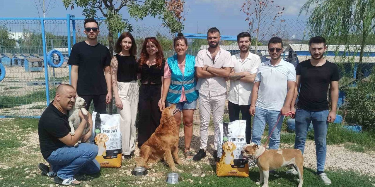Bursalı firmadan sahipsiz hayvanlar için anlamlı destek projesi