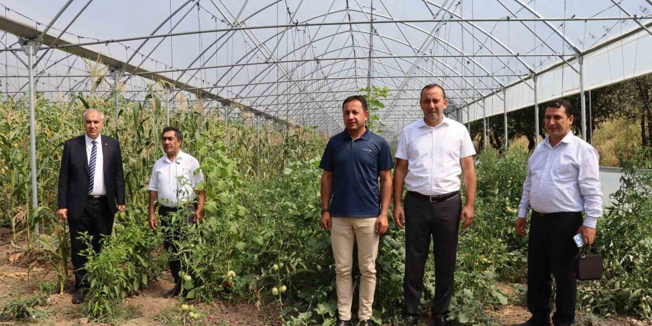 Oltu’da devlet destekli seralar çiftçilerin yüzünü güldürdü