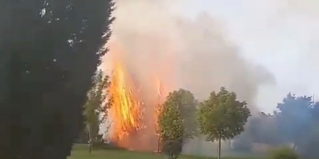 Parkta çıkan yangın itfaiye ekiplerince söndürüldü