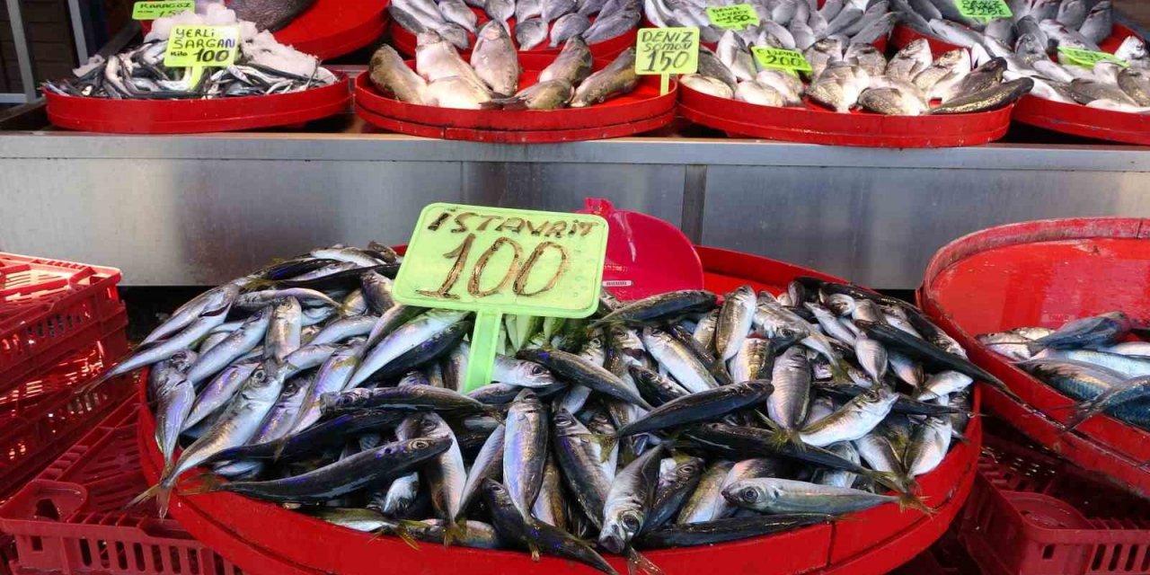 Trabzon’da balık av sezonu sönük başladı