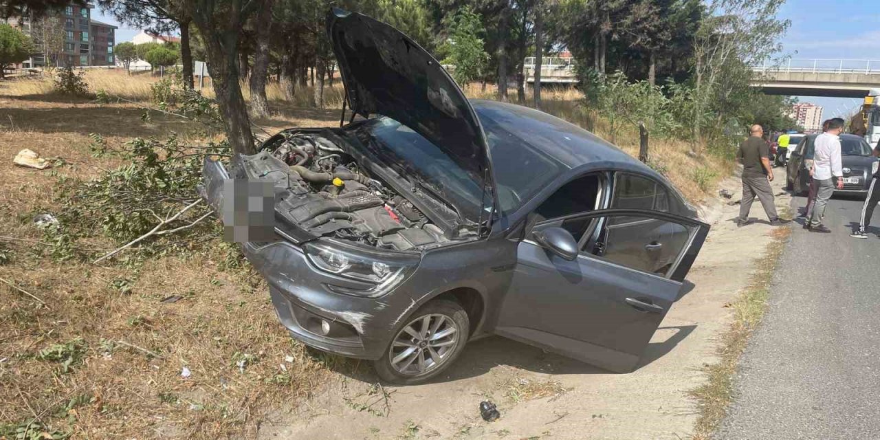 Yoldan çıkan otomobil ağaçlık alana daldı