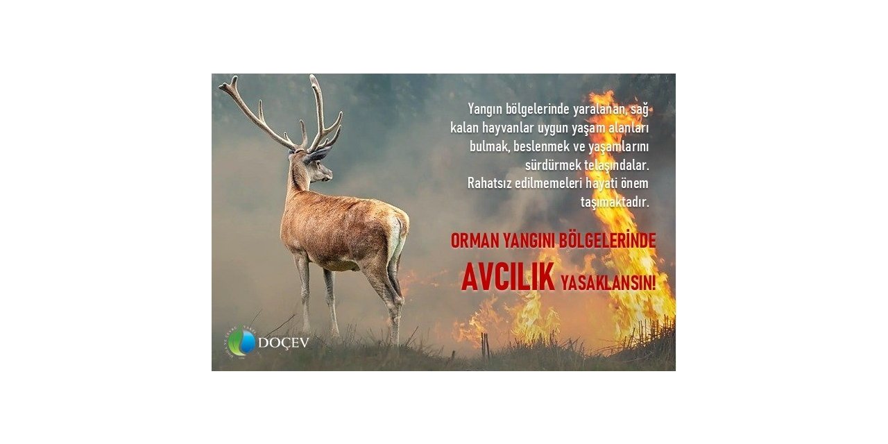 Çevrecilerden ’Yangın bölgelerinde avcılık yasaklansın’ talebi