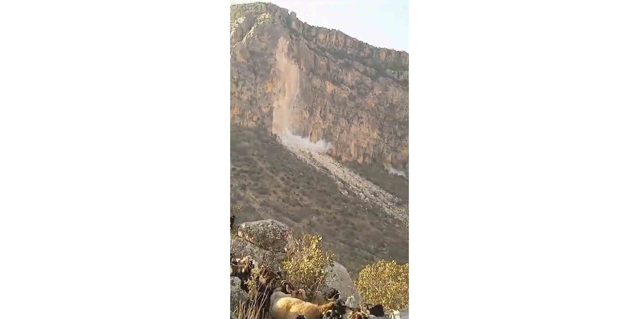 Siirt’teki deprem bir çobanın cep telefonuyla görüntülendi