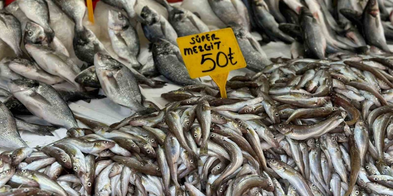 Sezonun ilk balıkları tezgahlarda