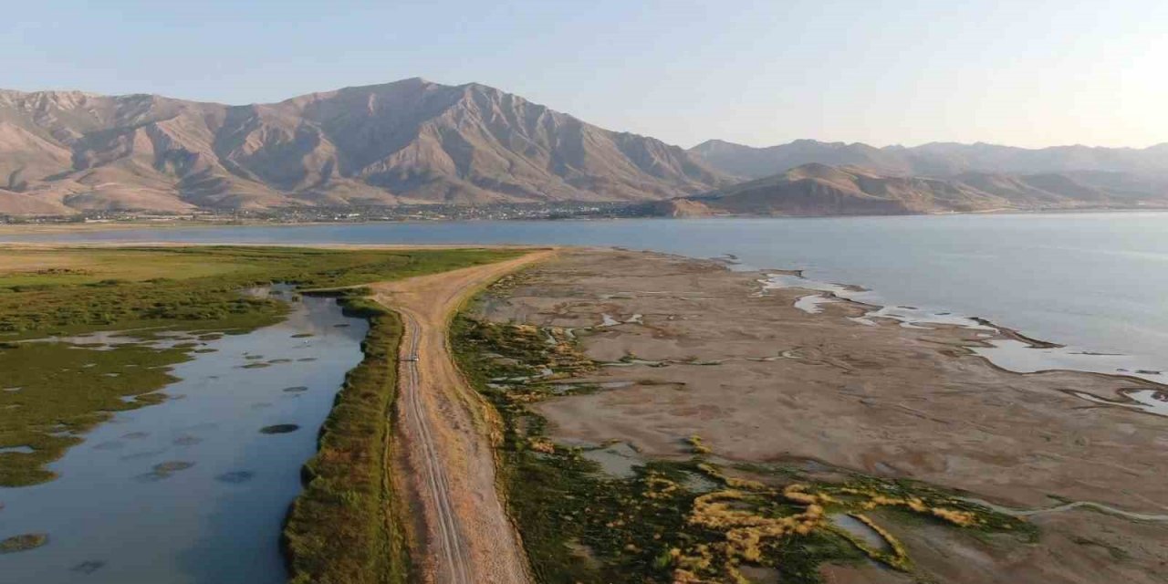 Prof. Dr. Aslan: “Van Gölü’nün sulak alanları yok oluyor”