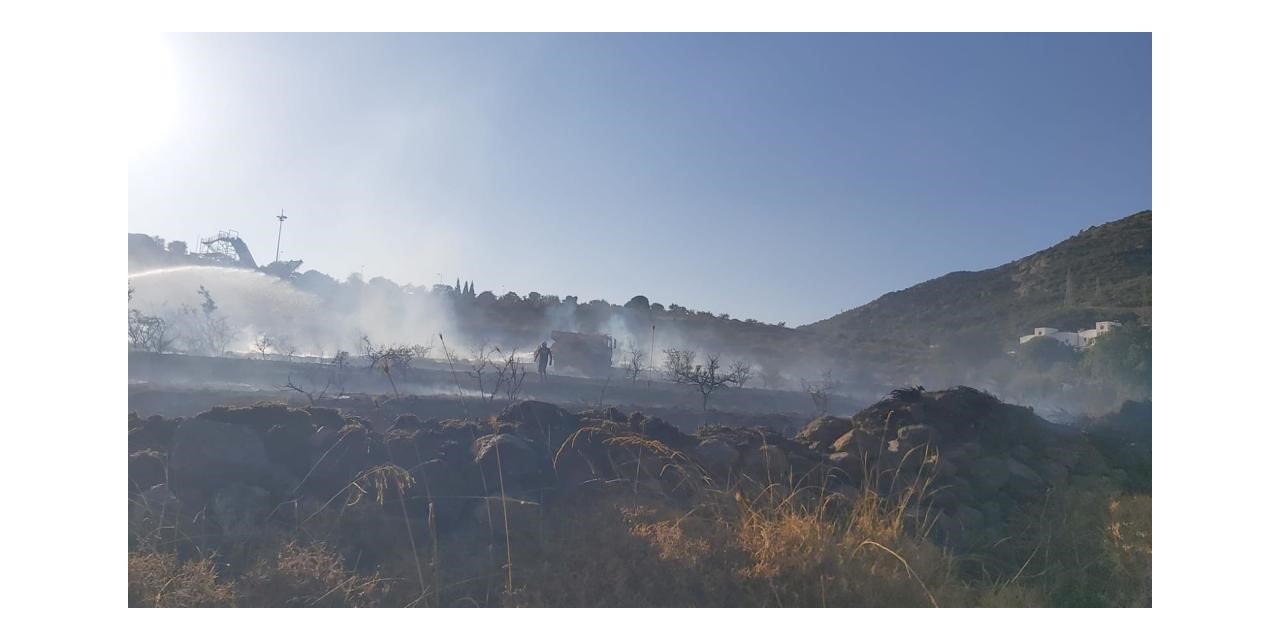 Bodrum’da makilik alanda yangın