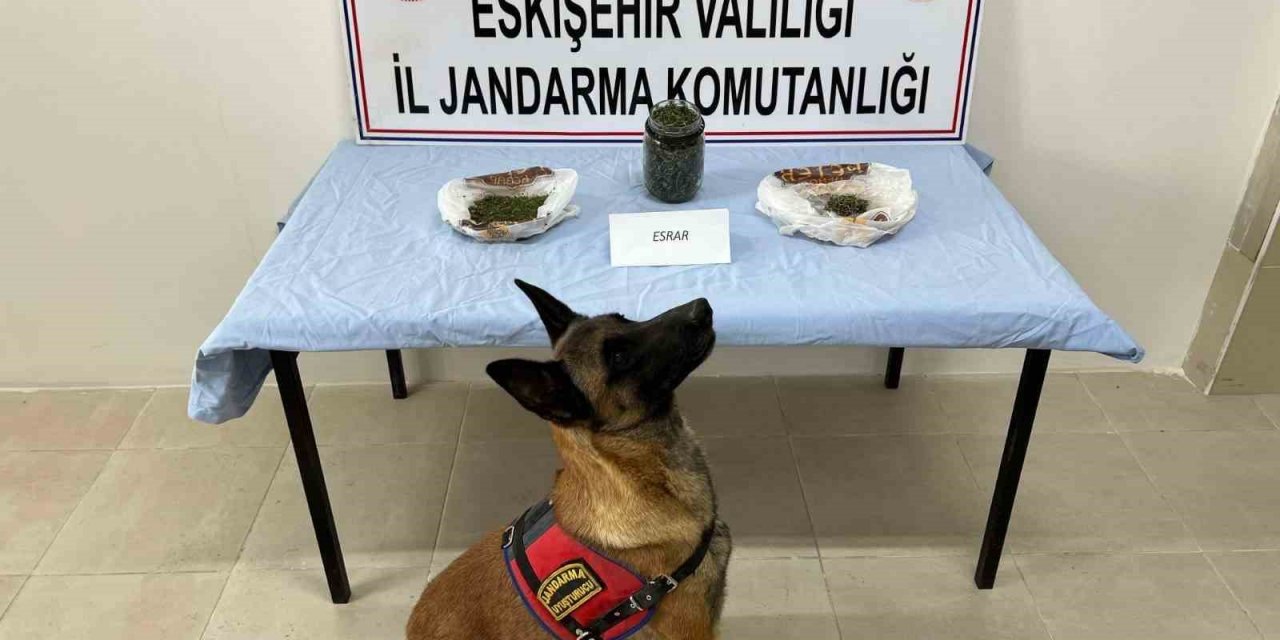 Ektiği keneviri esrar haline getirip satan şahıs yakalandı