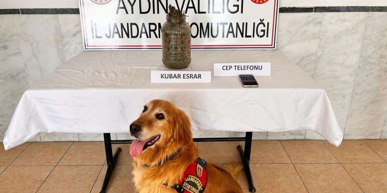 Aydın’da son 1 ayda 305 şüpheli yakalandı