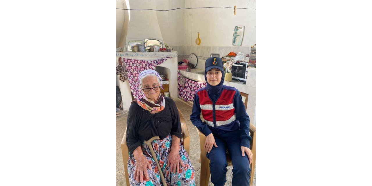 Jandarmadan yaşlı çınarlara vefa