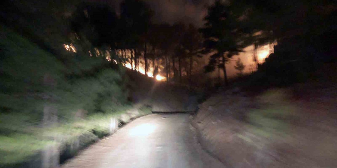 Köyceğiz Otmanlar’da 3 hektar ormanlık alan yandı