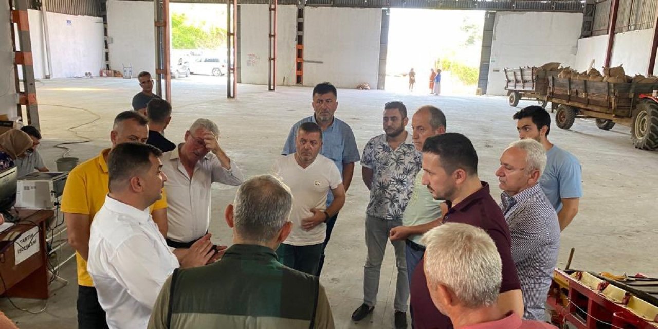 Akçakoca TMO’da fındık alımı günlük 70 tona çıktı