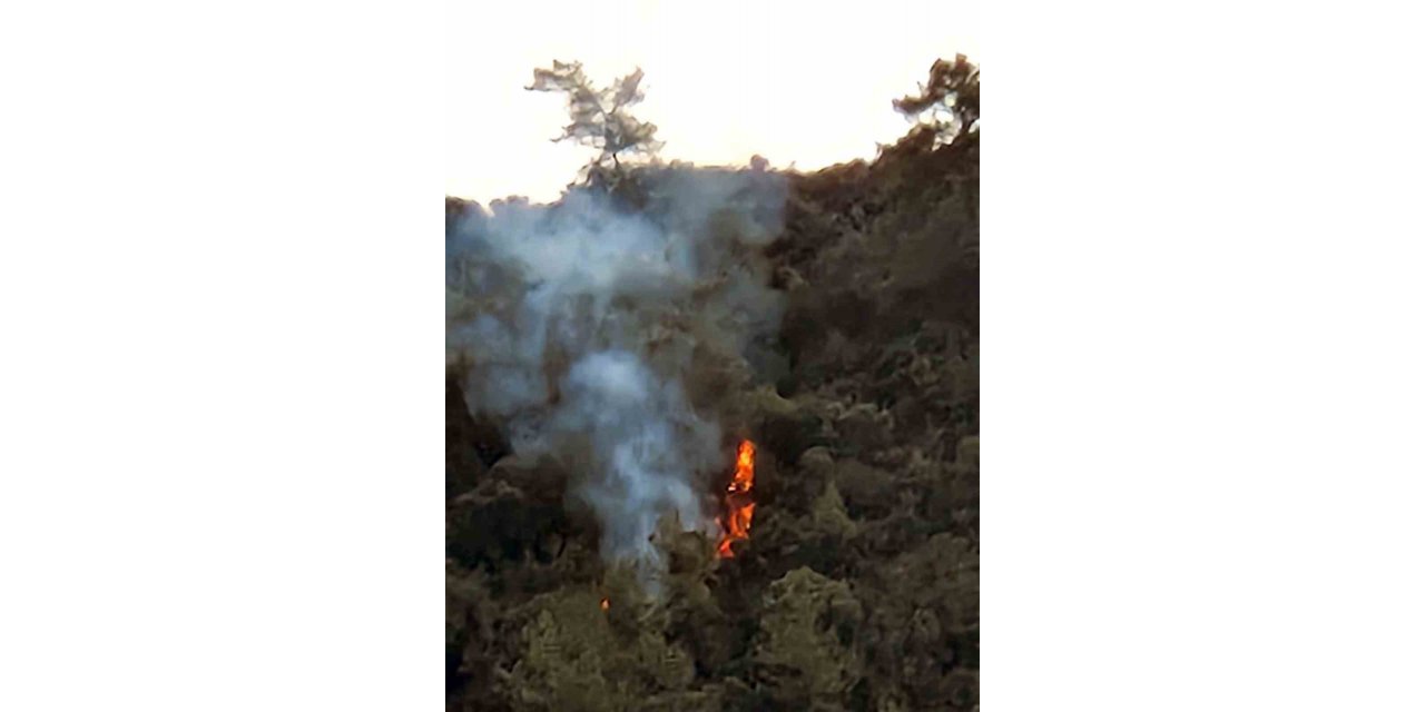 Marmaris Karacasöğüt’te orman yangını