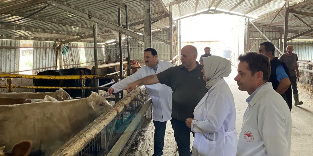 Aşılatmayana cezai işlem uygulanacak