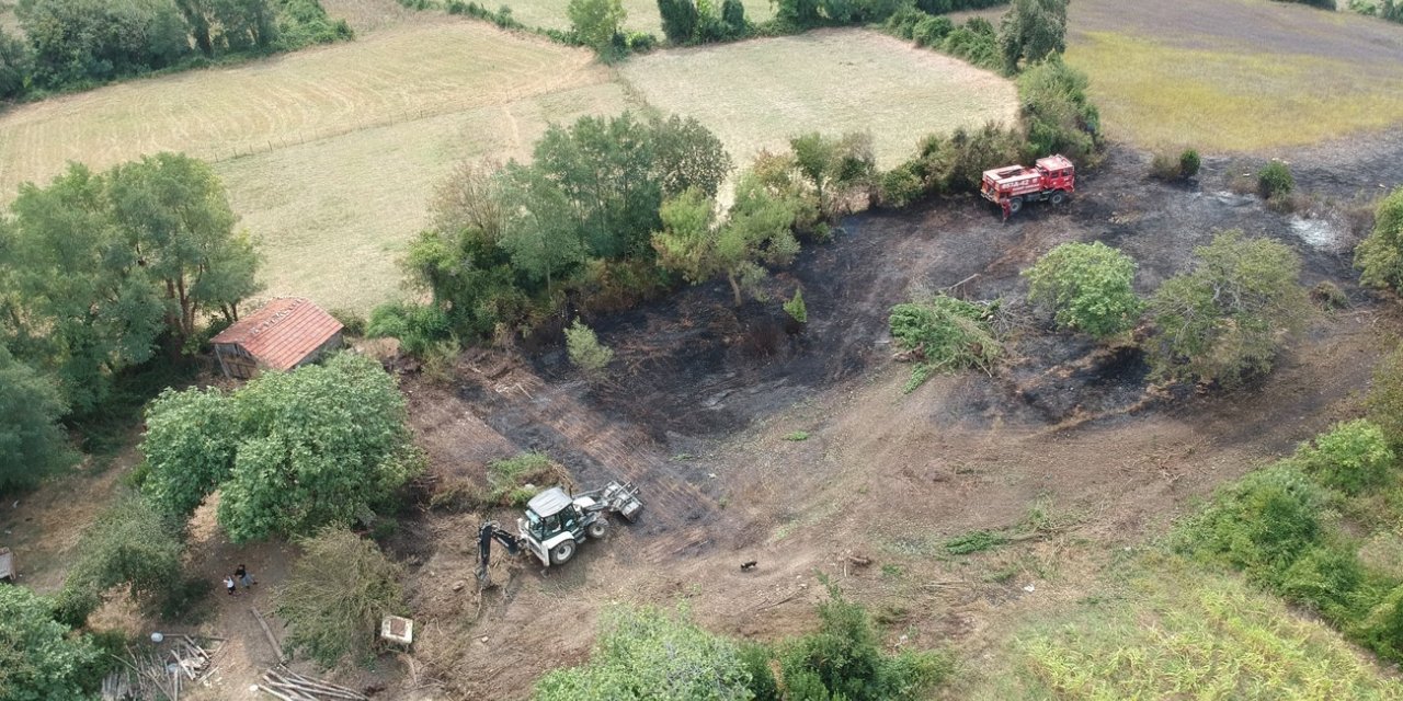 Sinop’ta yangın: 10 dönüm alan zarar gördü
