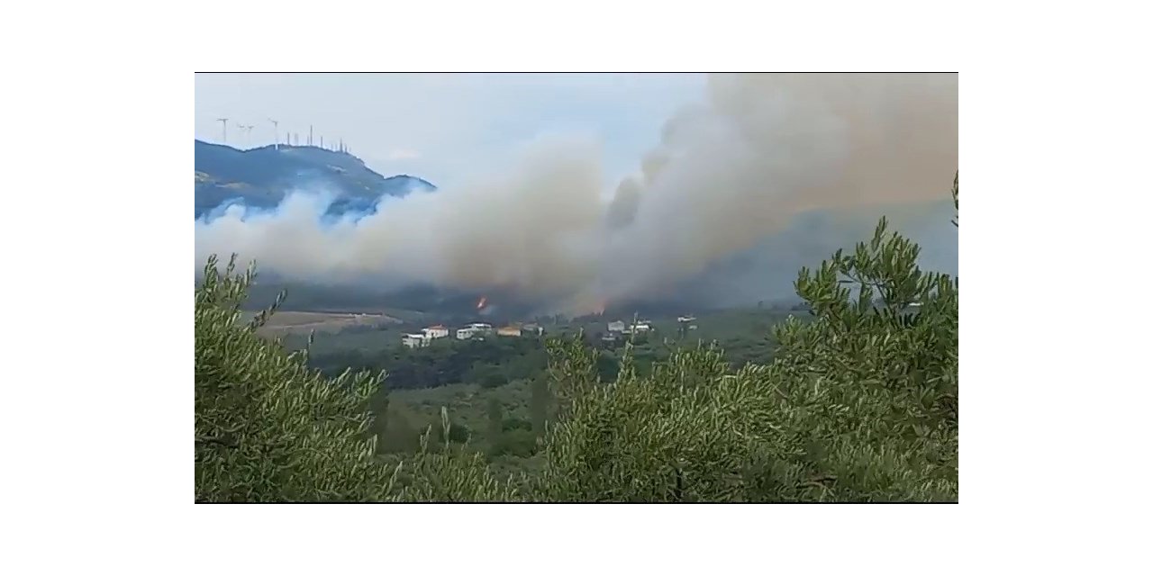 Bursa’da orman yangını