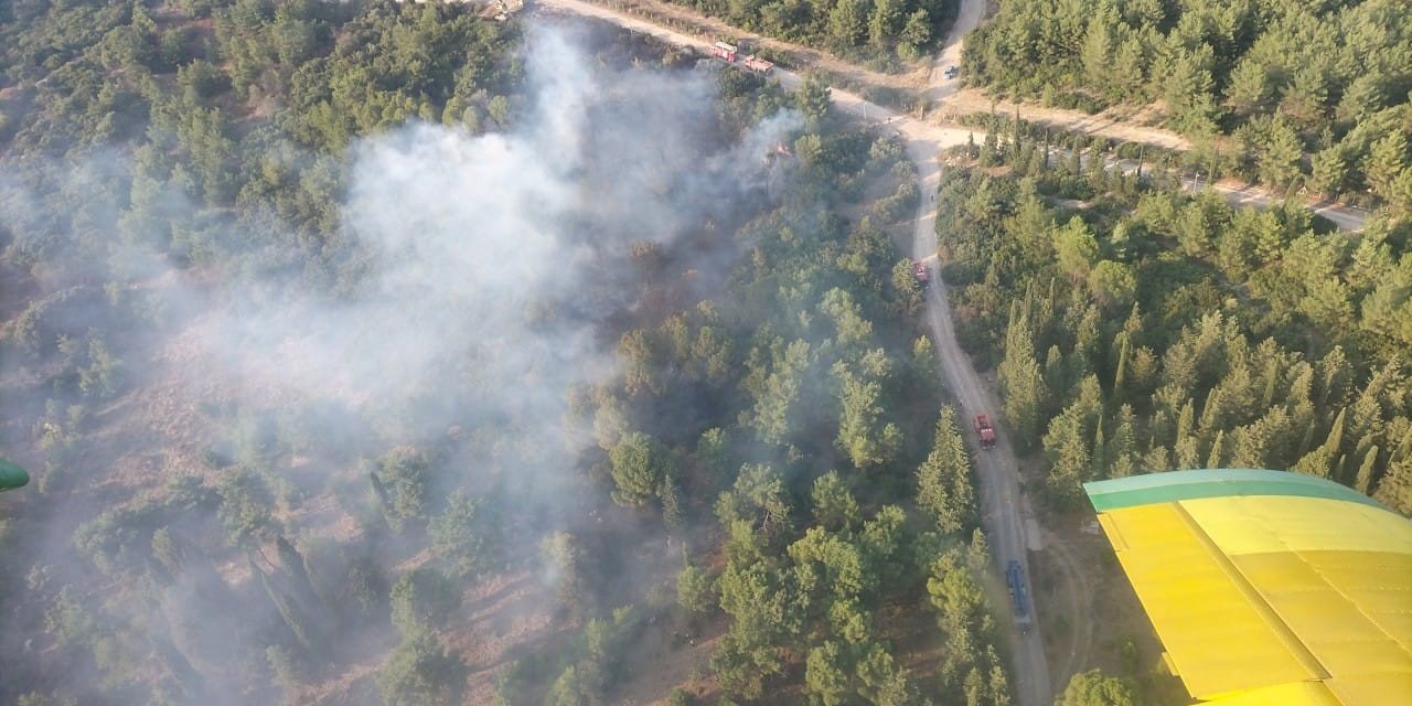 İzmir’de orman yangınına havadan ve karadan müdahale sürüyor