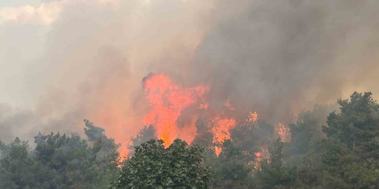 Bursa Valisi Demirtaş: "(Yangını) En kısa zamanda kontrol altına alacağız"