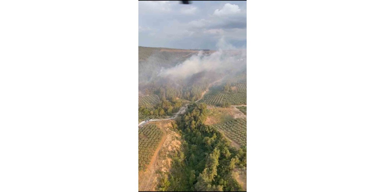 Bursa’daki yangın havadan görüntülendi