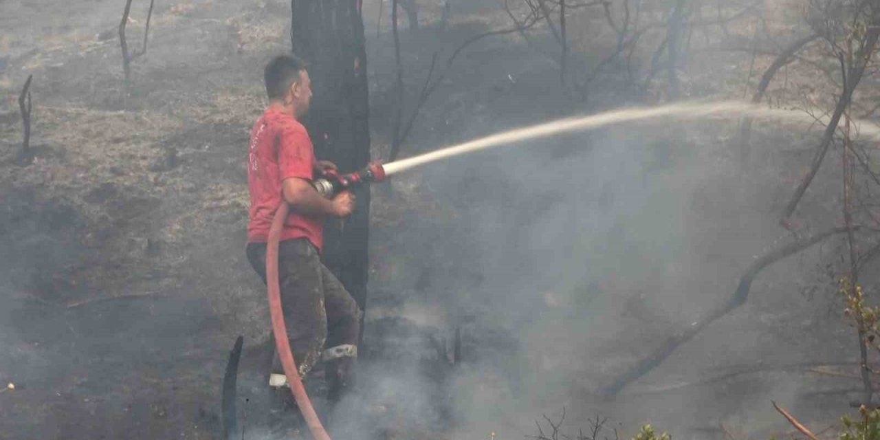 Bursa’da orman yangını arıları telef etti, ekipler alevlere böyle müdahale etti